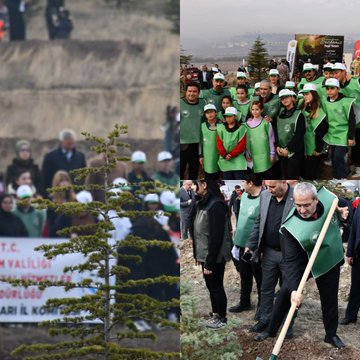 Four collage images depict a tree-planting event on a hilly, forested landscape under cloudy skies. Groups of people including adults, children, and officials wear green vests and hats while holding shovels and saplings. Participants dig holes, plant young trees, and pose together. Banners in Turkish read Yeşil Vatan Seferberliği and 11 Kasım Milli Ağaçlandırma Günü. Some individuals wear headscarves and casual clothing suitable for outdoor activity.