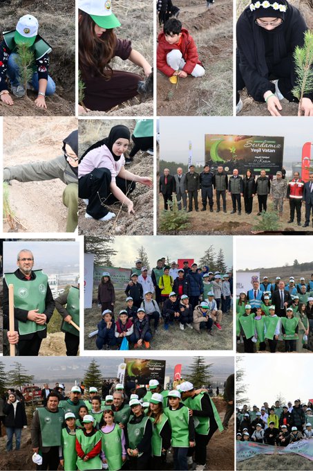 Four collage images depict a tree-planting event on a hilly, forested landscape under cloudy skies. Groups of people including adults, children, and officials wear green vests and hats while holding shovels and saplings. Participants dig holes, plant young trees, and pose together. Banners in Turkish read Yeşil Vatan Seferberliği and 11 Kasım Milli Ağaçlandırma Günü. Some individuals wear headscarves and casual clothing suitable for outdoor activity.