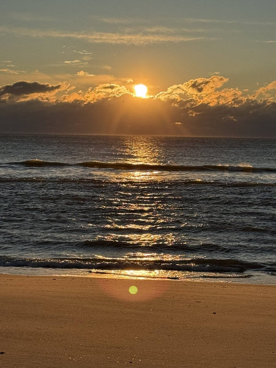 baileyjhall's tweet photo. Happy #VeteransDay, #lbi https://t.co/pB4McXN9eY