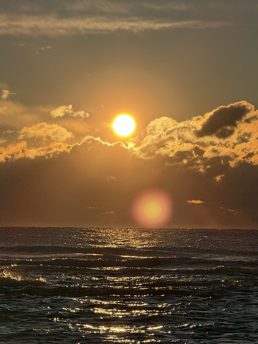 baileyjhall's tweet photo. Happy #VeteransDay, #lbi https://t.co/pB4McXN9eY