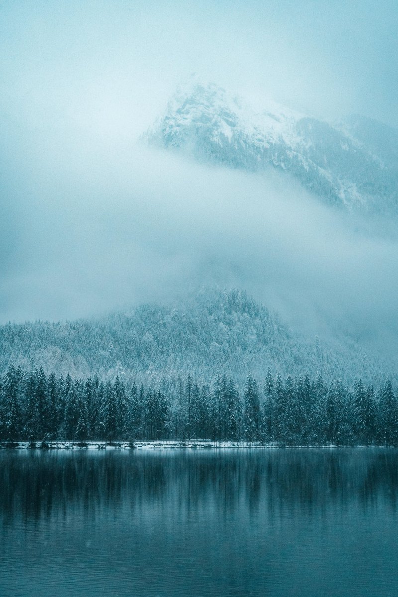 purenature_1's tweet photo. Winter feelings ❄️ #snow https://t.co/C2PoZtSNla
