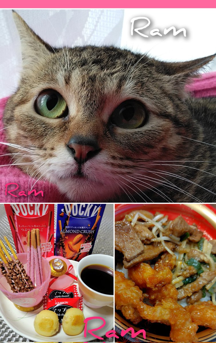 ラム肉ｯ*のラムちゃん＆ｱｸﾞﾈｽﾗﾑﾁｬﾝﾏﾑjc5(*^)♪ DJ☆KT☆99co@ on X