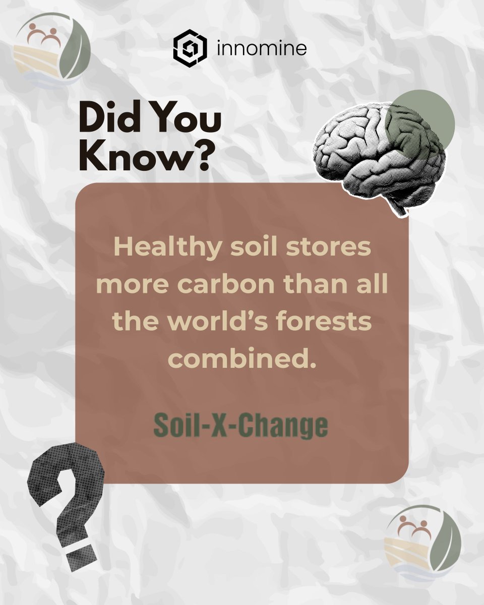 innominegroup's tweet image. 🌱 Did you know? 
Healthy soil stores more carbon than all the world’s forests combined — making it one of our greatest natural allies in the fight against climate change! 🌍

That’s why the Soil-X-Change project is bringing together farmers, researchers, policymakers, and…