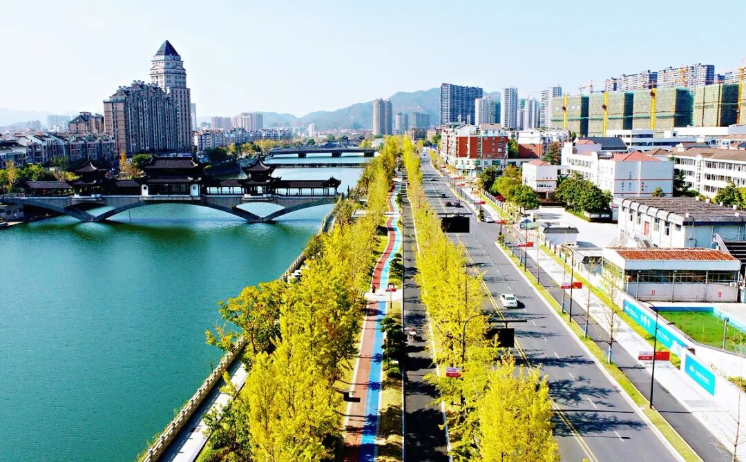 hangzhoufeel's tweet photo. Driving off the expressway into #LinAn, you’ll be greeted by endless rows of golden ginkgo trees glowing on both sides of the road🍁. Along the Tiaoxi River, golden leaves shimmer on the water, also becoming a must-visit for your autumn stroll! #GoldenAutumn #AutumnVibes #BeautifulHangzhou
