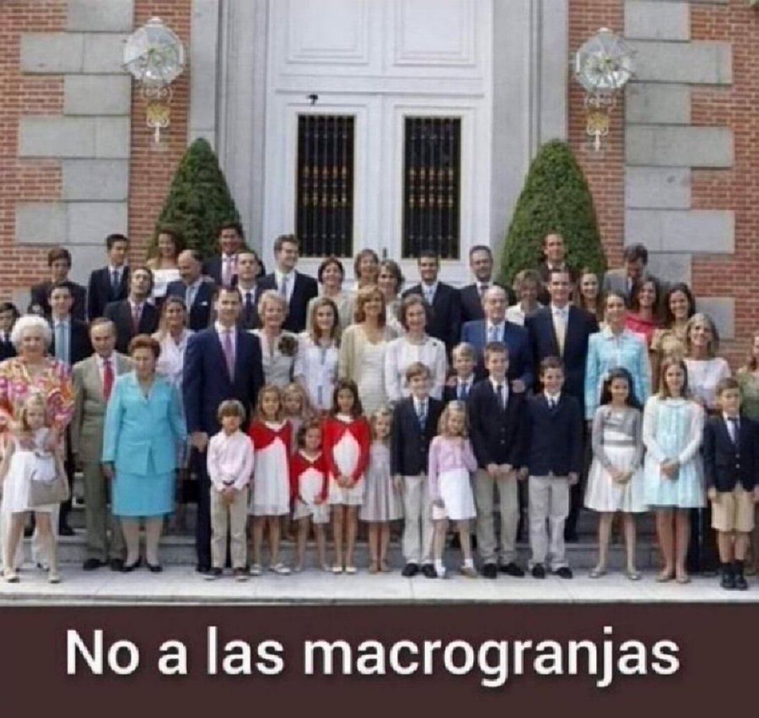 Violetaalviento 🍉💛💜 tweet media