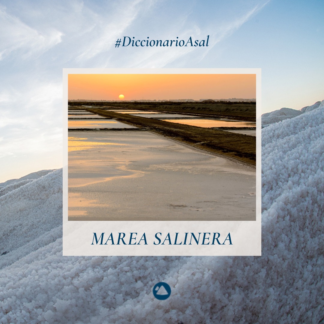 #DiccionarioAsal: Marea Salinera

💫Entrada y salida del agua marina a las salinas, regulada por compuertas según el ritmo de las mareas.

#SalMarina #GrupoAsal