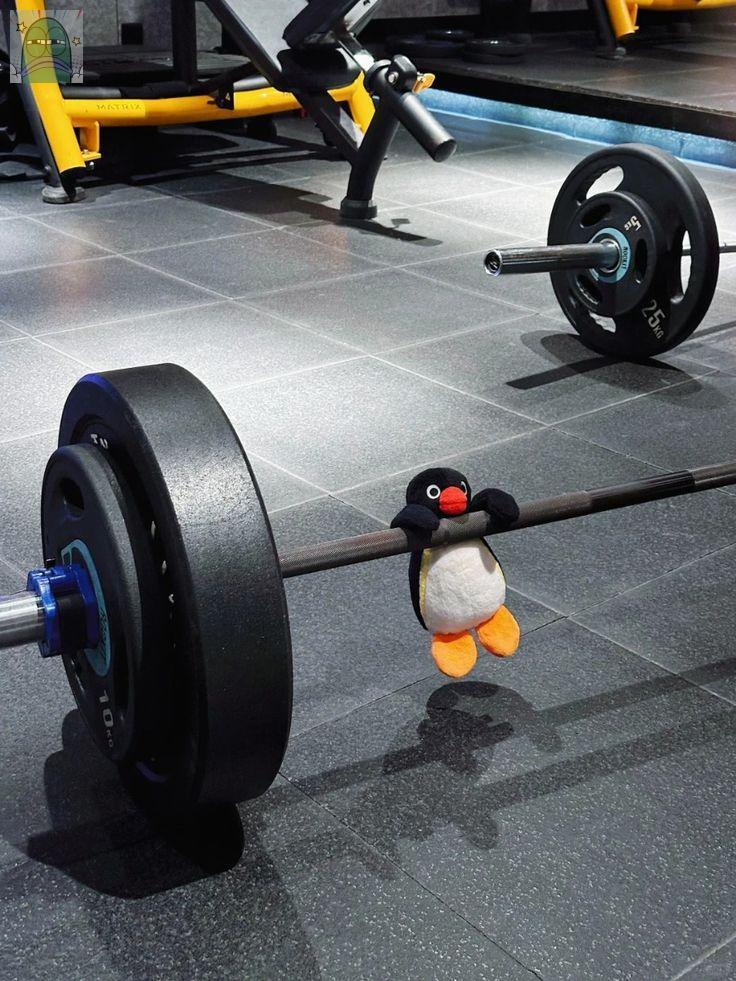 tanyarlfes's tweet image. guysss spill dong kalian ngegym dimanaa dan bayarnya berapaa 💚