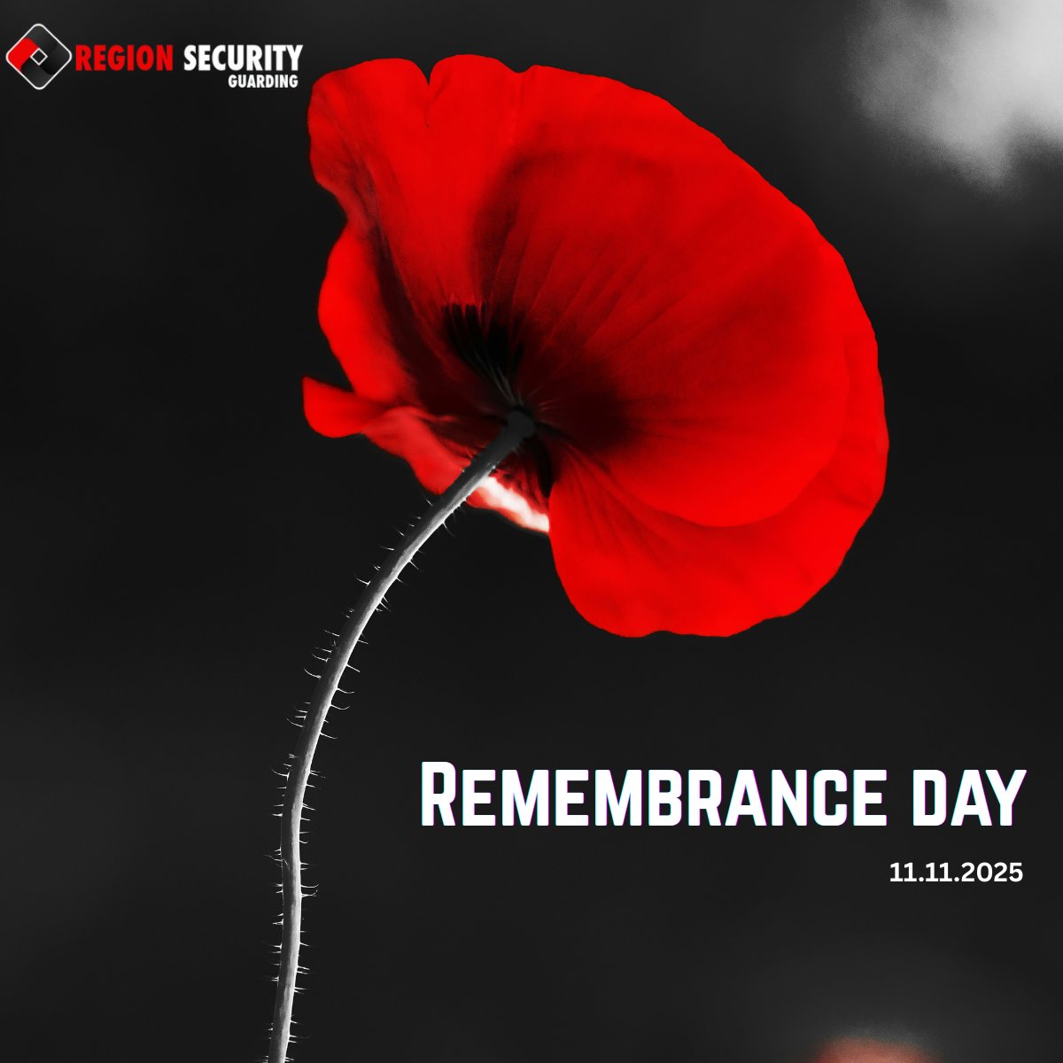 RegionSecurity's tweet image. Today, we honour the bravery and sacrifice of those who protected our nation. Their courage inspires our commitment to security every day. 🌺 #RemembranceDay #LestWeForget