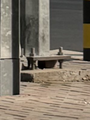 O P S ⚡️ tweet media