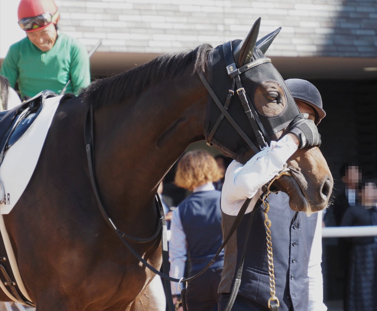 馬です et-coquine on X