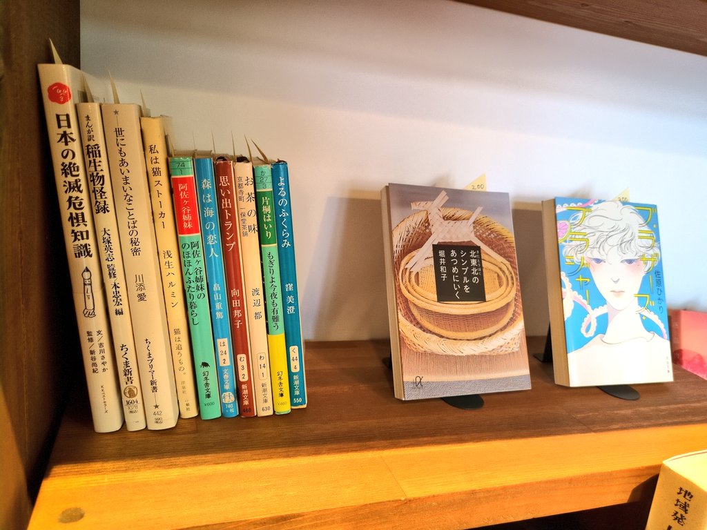 今時書店さんの本棚を補充しました。なんだか写真の撮り方が下手になっている…
ので現物をぜひ手にとって眺めてくださいませ🙂‍↕️

新大そばの3'sbarにも本を置く活動始めました。お近くの方は覗いてみてください🌱