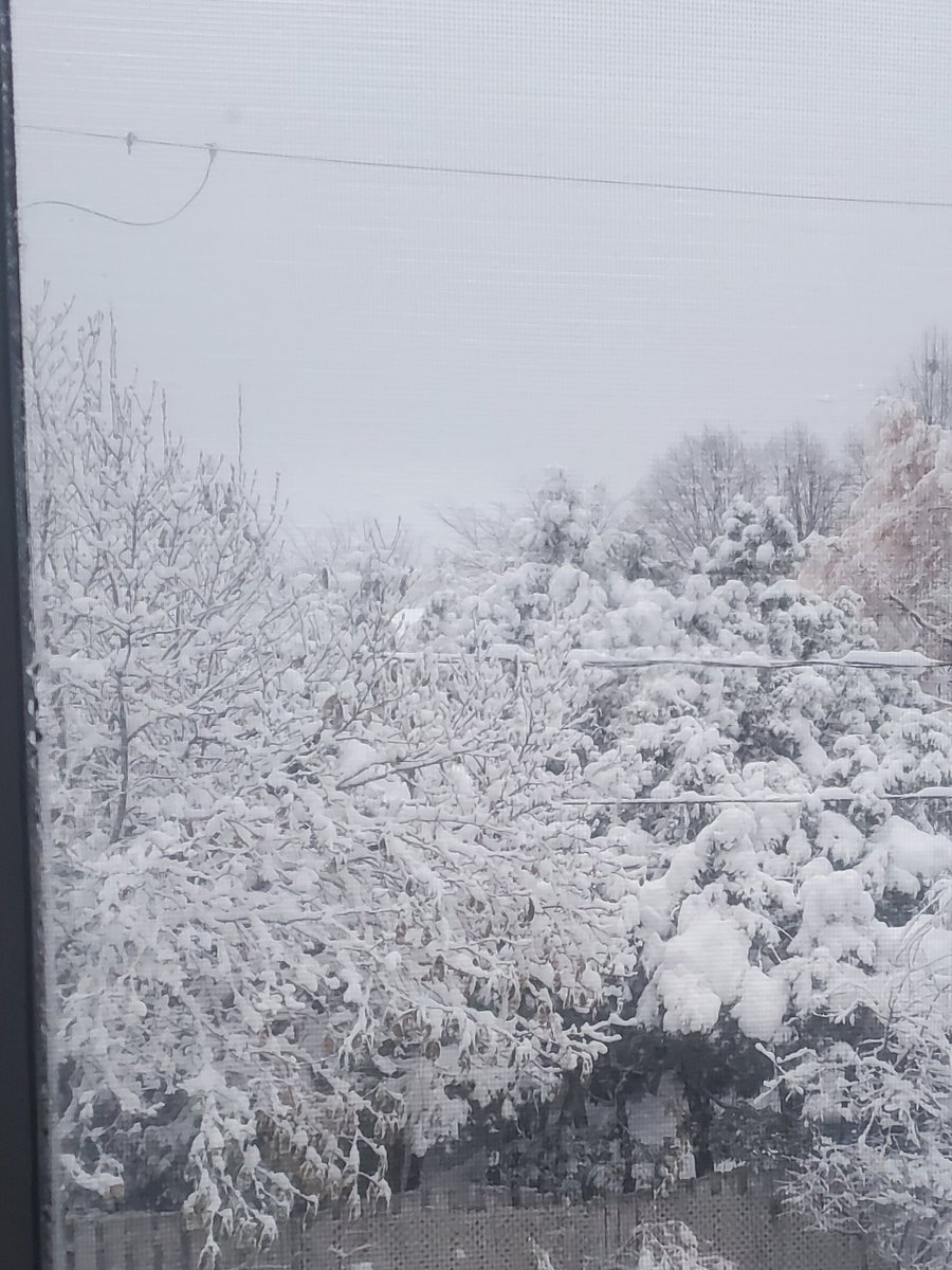 magikor 🍉 !!! tweet media