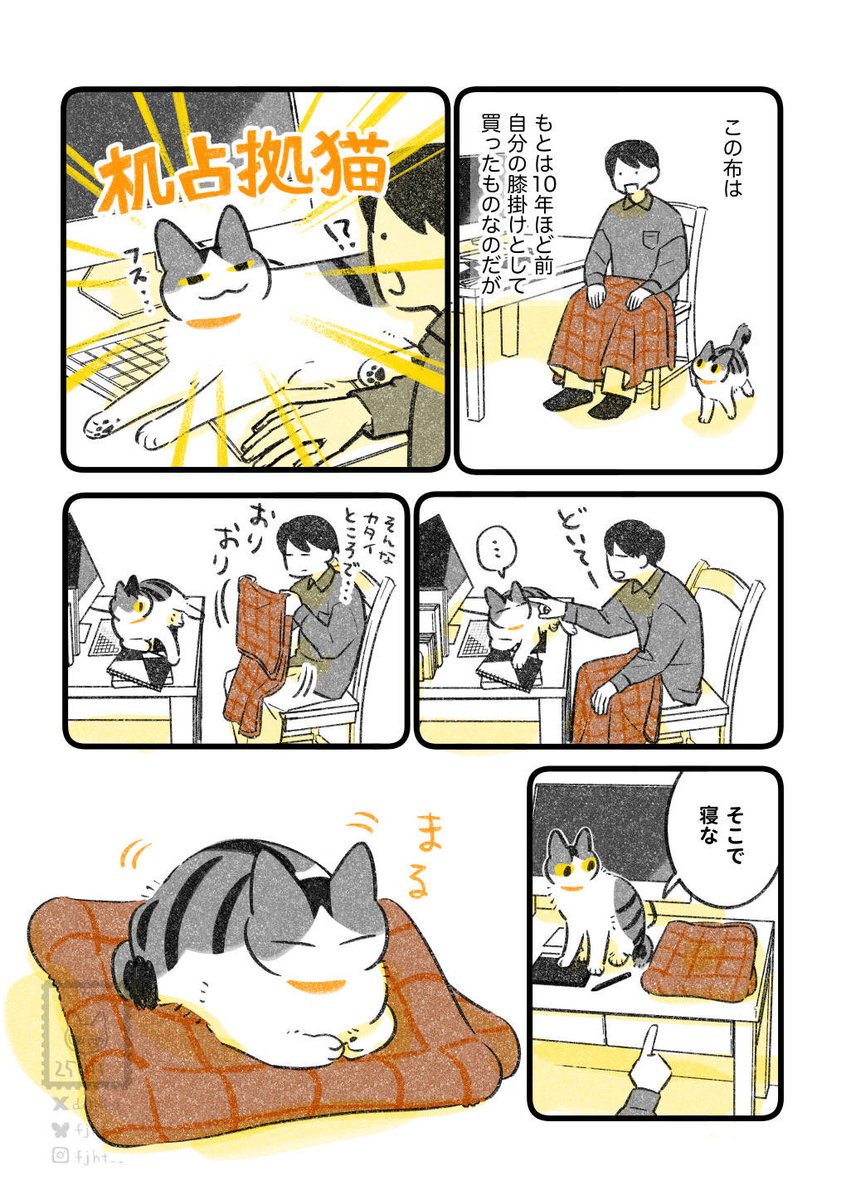 猫の布 