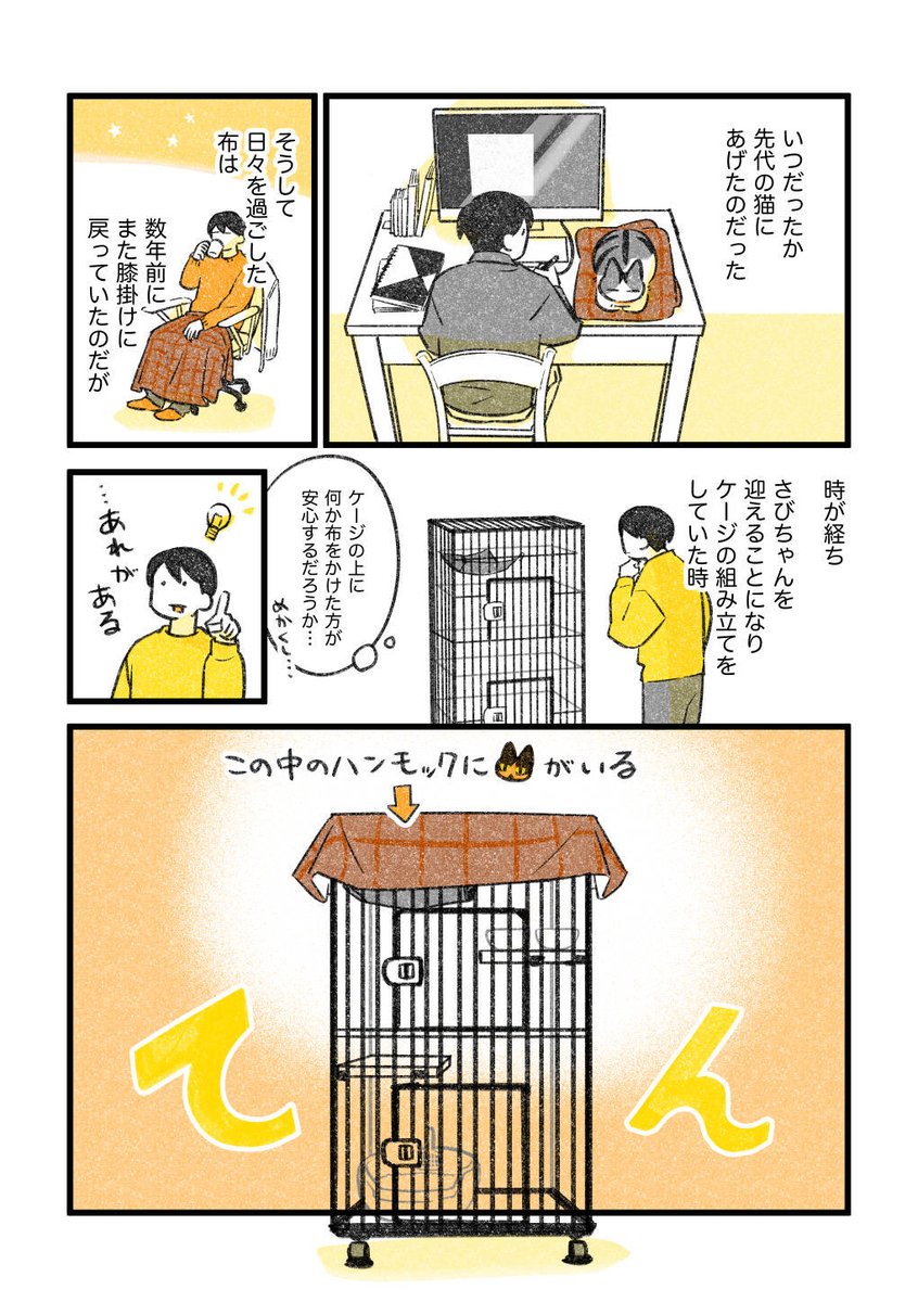 猫の布 