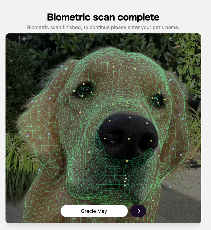 Petastic tweet media