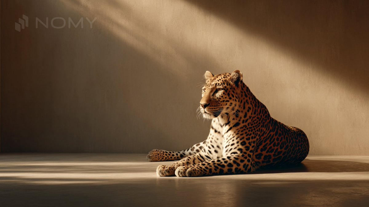 The market rewards patience, not impulse.

nomyfi.com