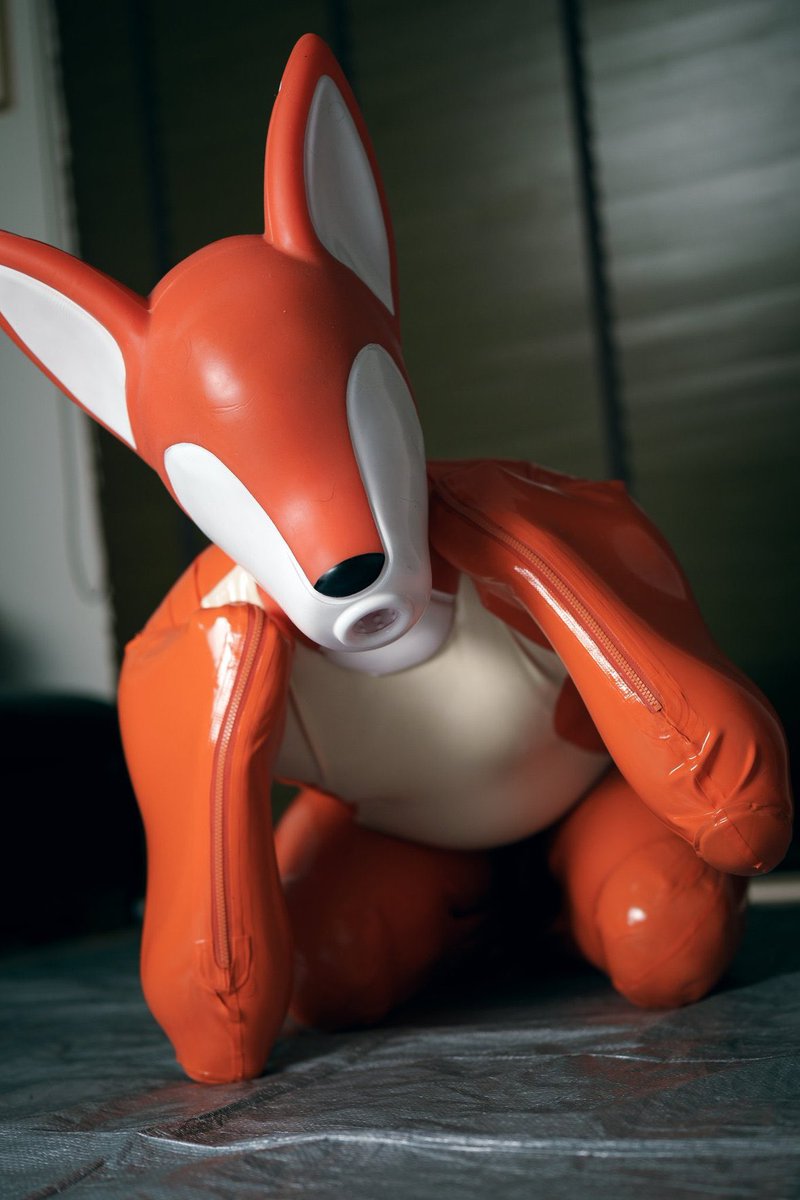 ヒトイヌの日？らしいよ？