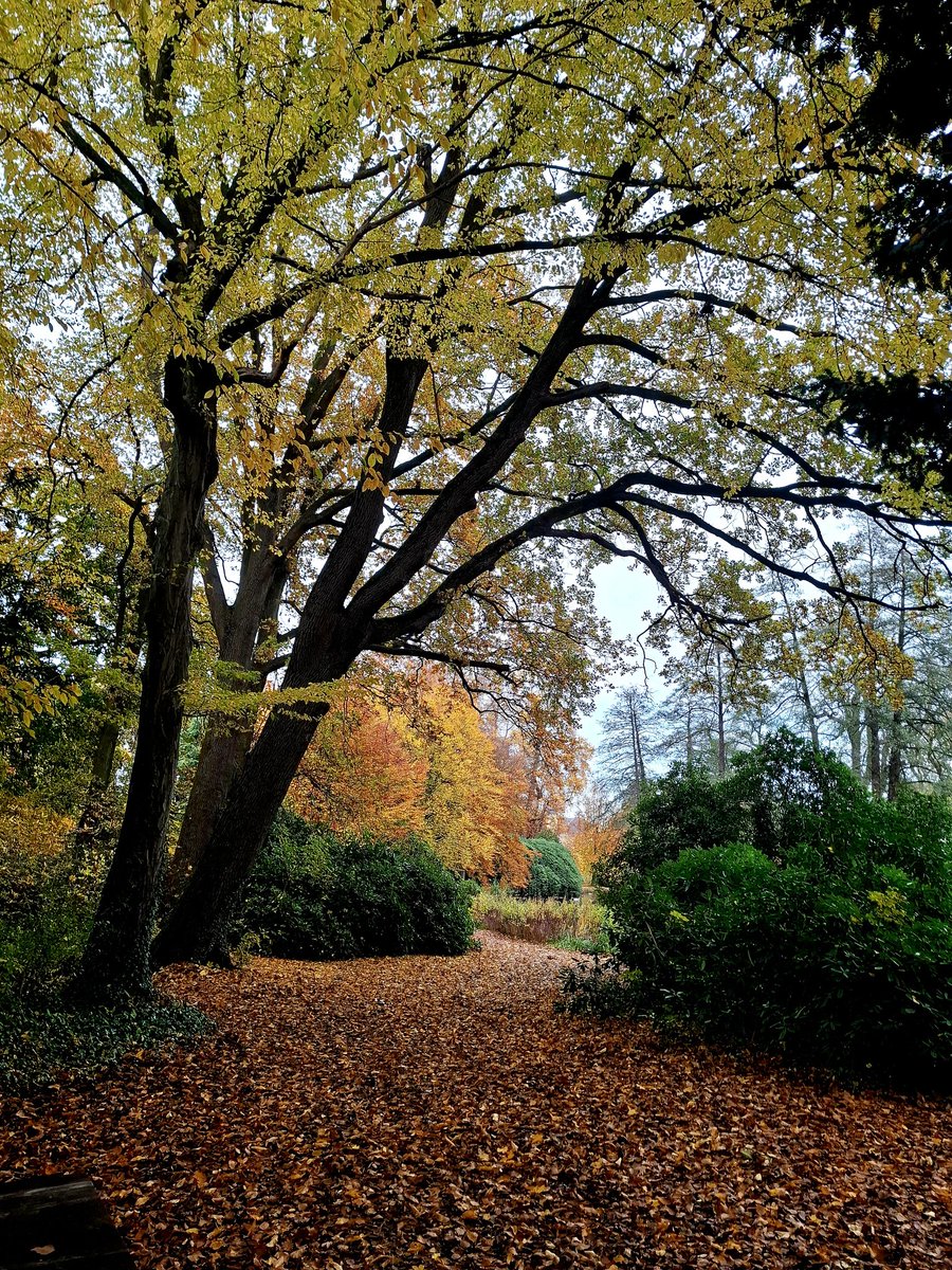 chriz31_07's tweet image. We need more photography on 𝕏!📸

If you agree, post a picture!