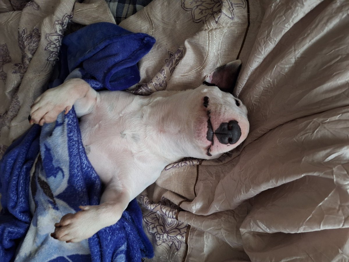 Детьский час