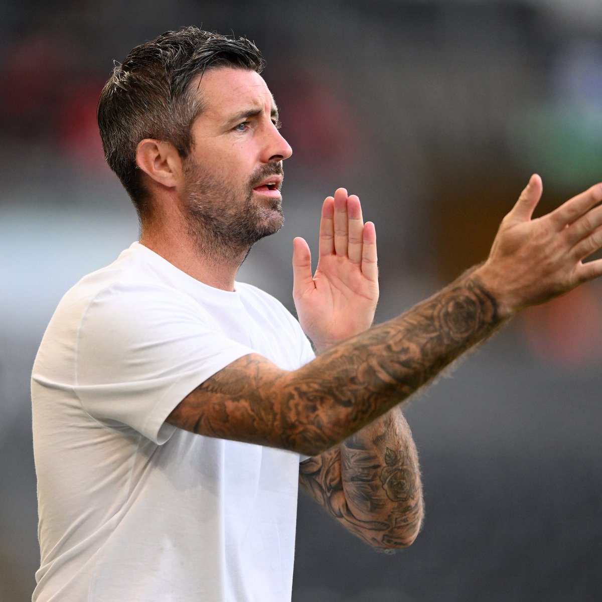 Only Swans tweet media