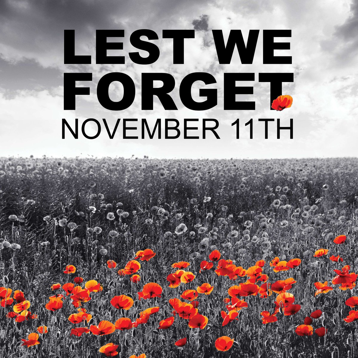 We remember and honour Canada's veterans and those who continue to serve and sacrifice for the freedoms and peace that we are so fortunate to have. We encourage everyone to pause, reflect and, if fortunate to have one in your life, please share gratitude with a veteran today.