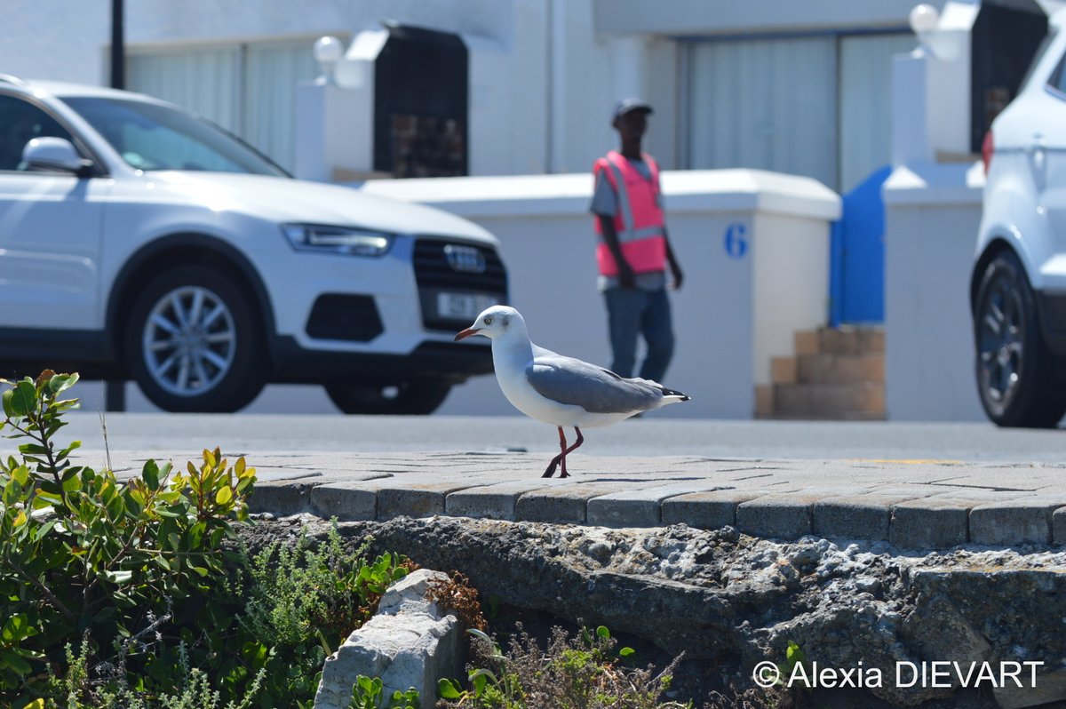 F*CK FISH tweet media