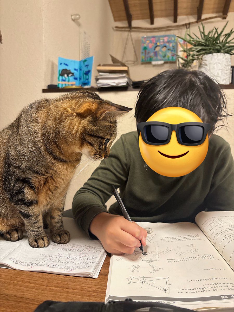 libayl049's tweet image. 子供たちの勉強を見てやっているつもりの猫🐈