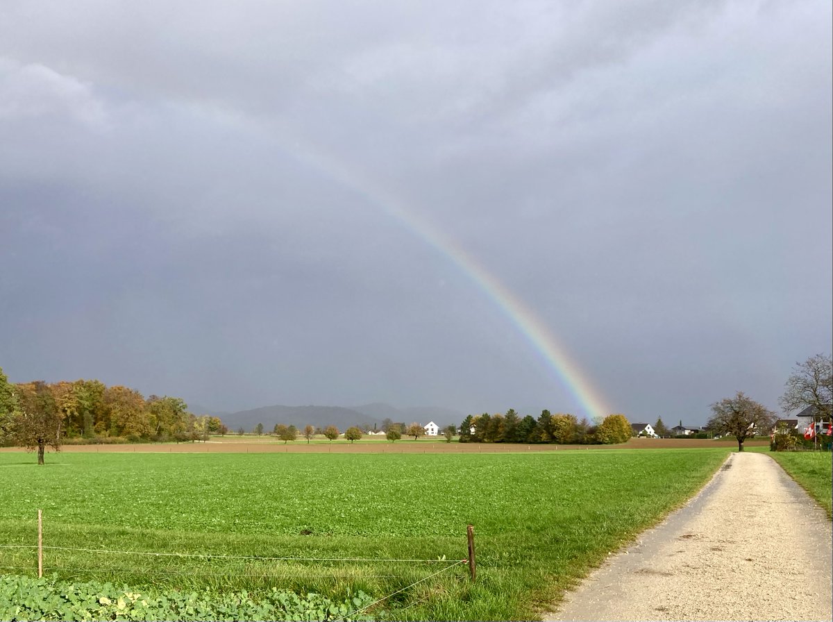 Für alle, die es gerade brauchen: Mut machende Segensworte von Annette Jantzen:
t1p.de/nvun3
#segen #segensworte #segenfüralle #Feministischetheologie #alltagsspiritualität