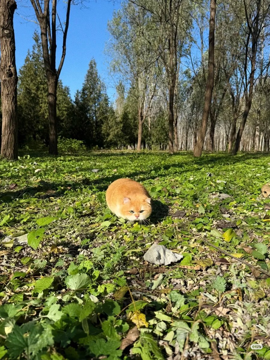 kimi☺︎︎︎︎ 😎미키Miki🌾 on X