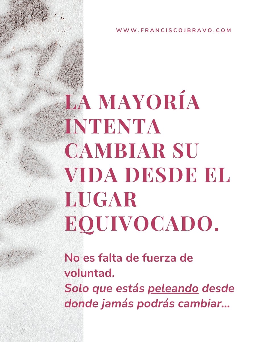 Francisco J Bravo | tweet media