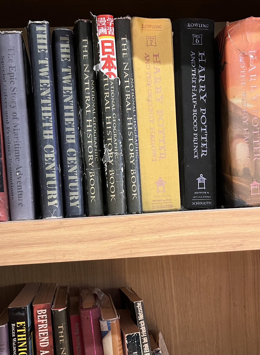 でんでんさん専用ページ てんてん クリアファイル | 安曇野天蚕工房