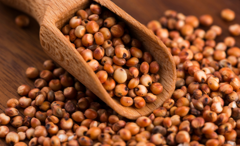 🇨🇳🤝🇧🇷 A China e o Brasil concluíram a habilitação das primeiras unidades brasileiras para exportação de DDGs e sorgo ao mercado chinês.
O avanço reforça a parceria estratégica sino-brasileira e cria novas oportunidades para o agronegócio sustentável.<a href="/Mapa_Brasil/">Ministério da Agricultura e Pecuária</a> <a href="/Carloshbfavaro/">Carlos Fávaro</a>