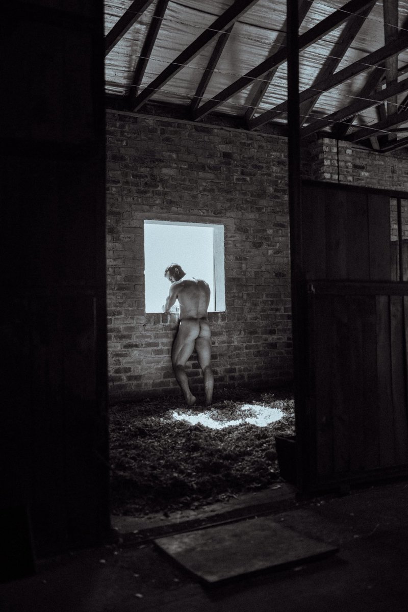 Adonis_Collective tweet media