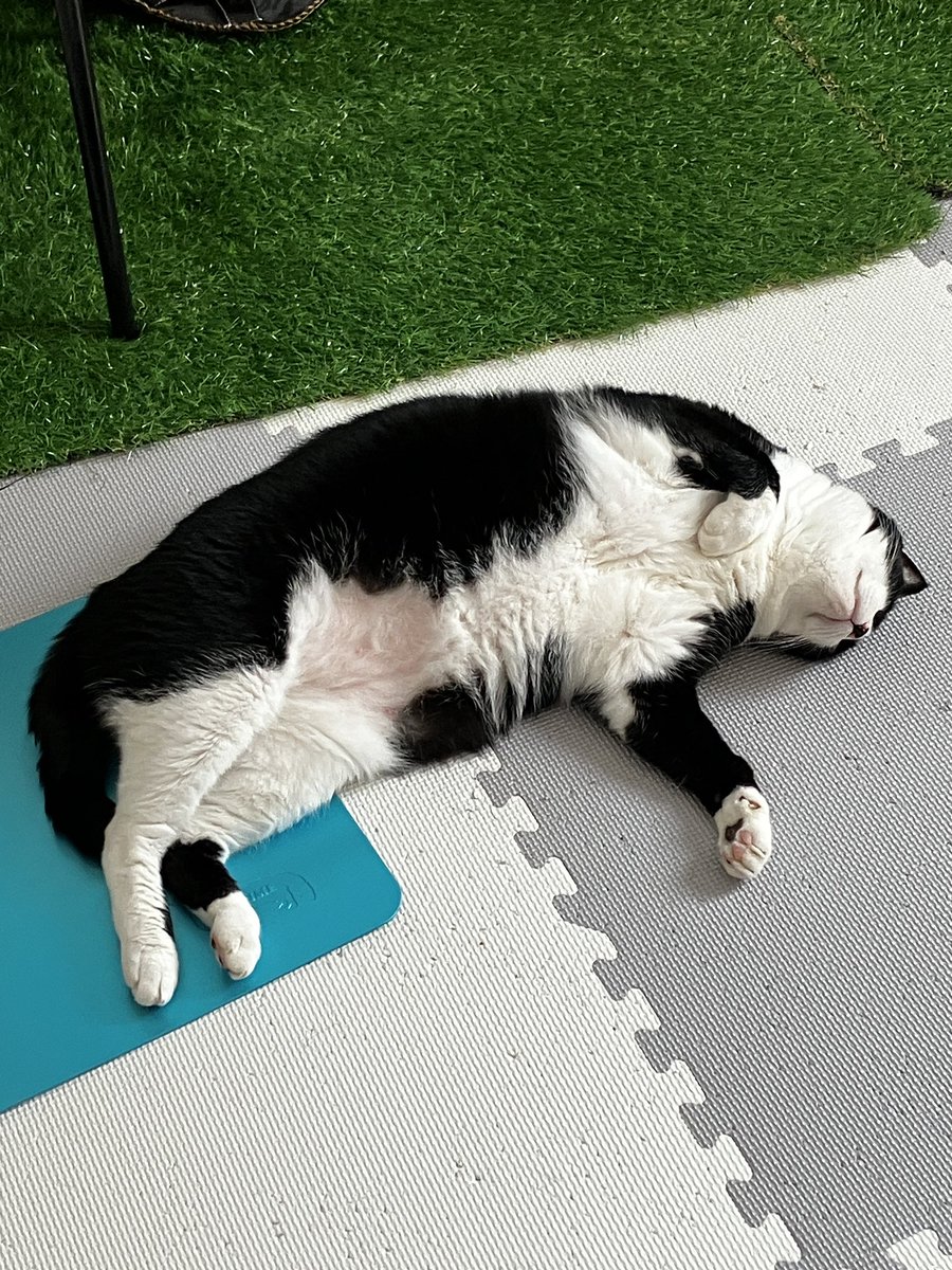 最近はリライトと作成したブログ記事をネタにYouTubeを作成しています。
作成したYouTubeはGoogle検索の「動画」で上位に出てくるから大変だけどやる価値はある。