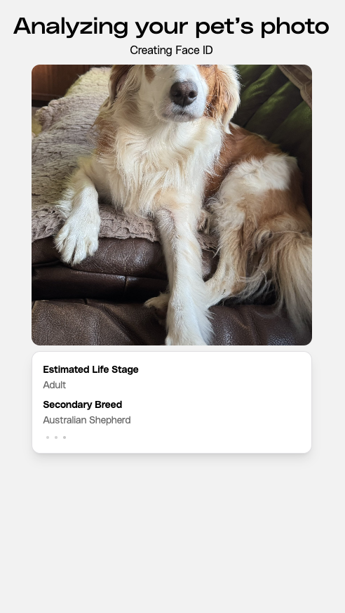 Petastic tweet media