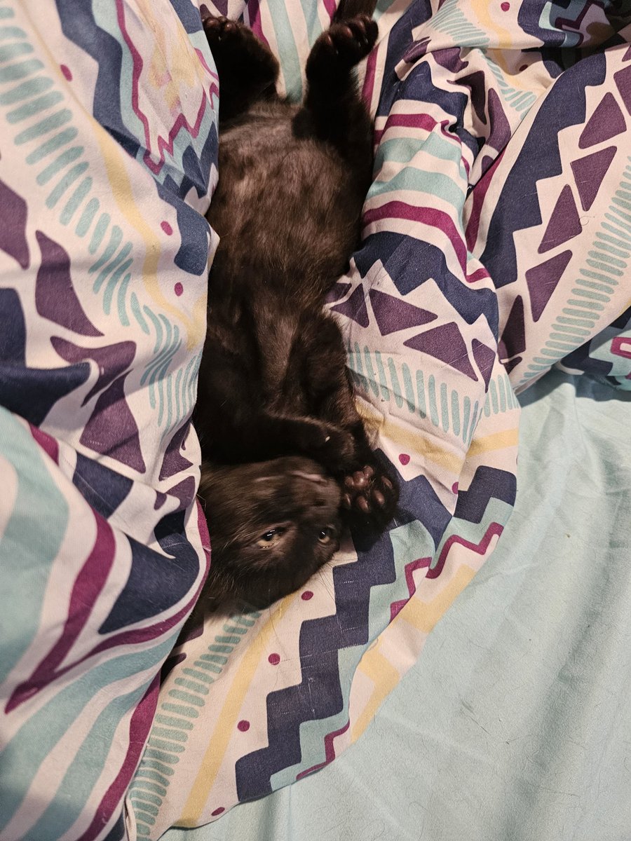 Failed foster..... Pepper is now <a href="/TheOracleDragon/">A.R. - Oracle</a> and mines!!