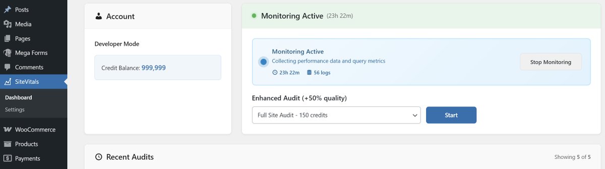 Working on some advanced performance auditing system for WordPress and WooCommerce, who is interested?