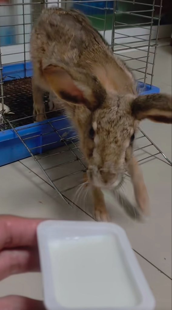 onghudk12138's tweet image. 