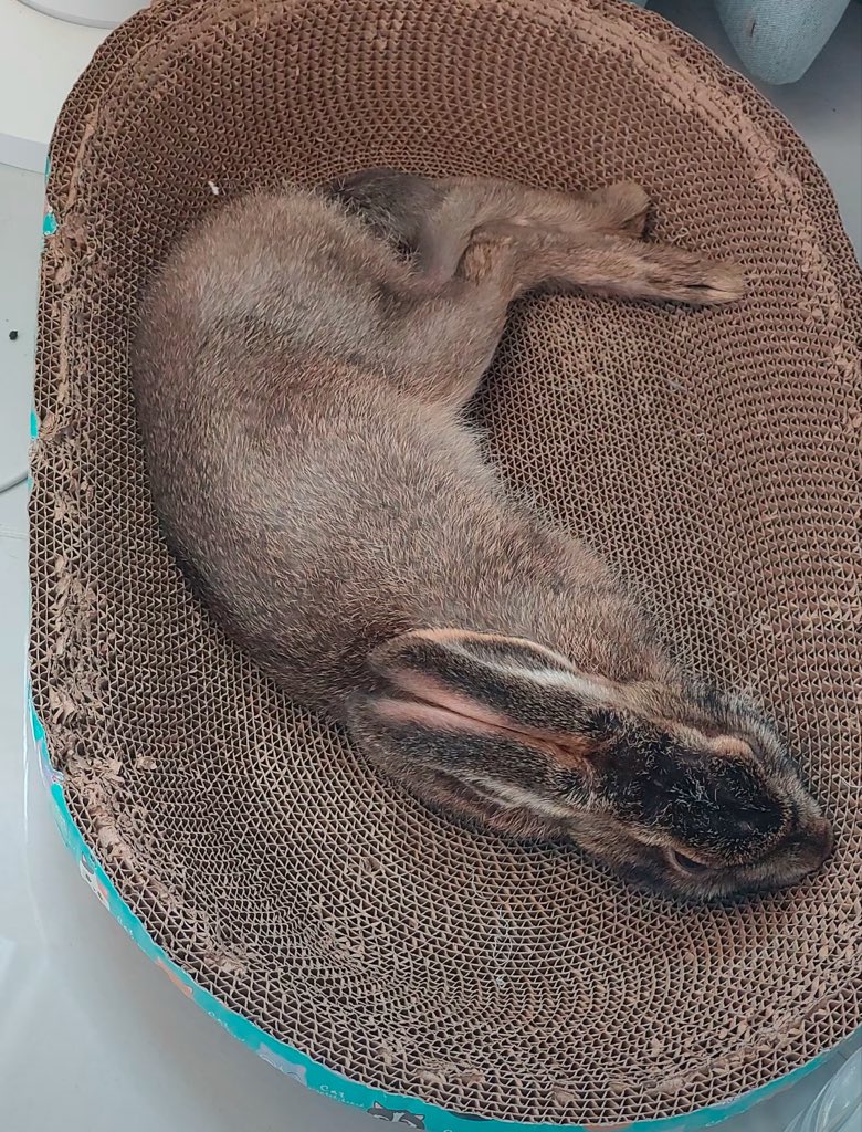 onghudk12138's tweet image. 