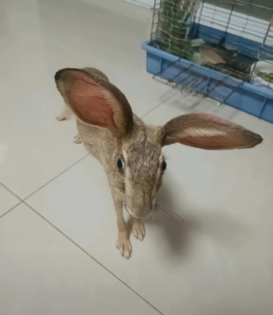 onghudk12138's tweet image. 