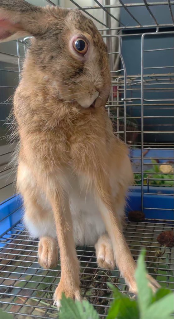 onghudk12138's tweet image. 