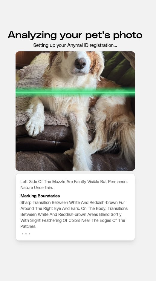 Petastic tweet media