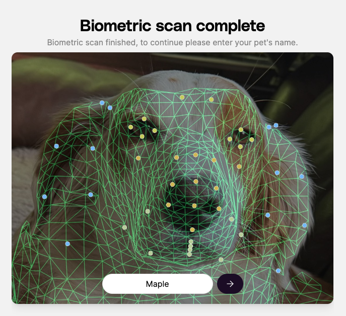 Petastic tweet media