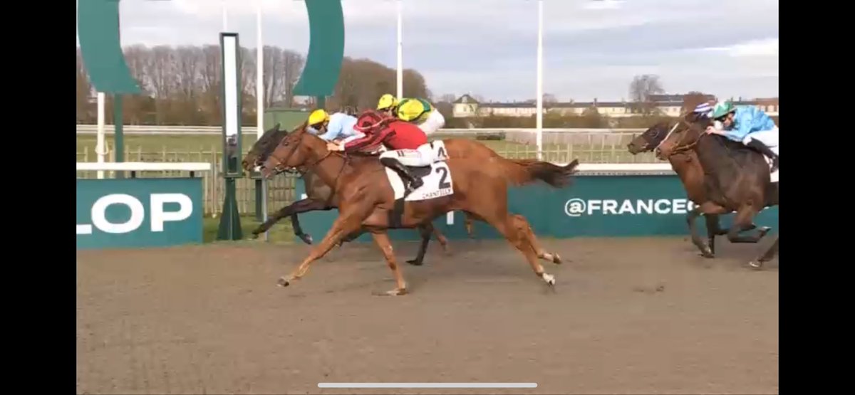 LeeLeemayor's tweet photo. @AtTheRaces @LaurentB_Sky Can you ask him the result of this photo yesterday in France https://t.co/yauUg3QgwU