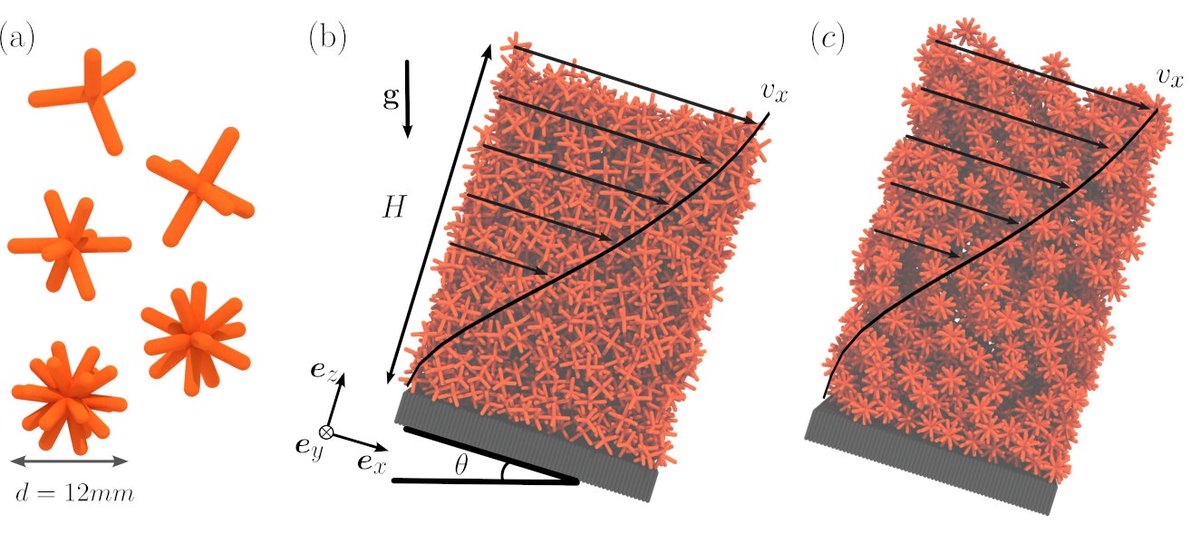 Physical Review E tweet media