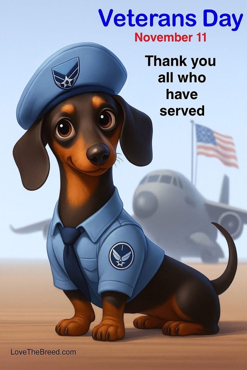 Lisa Hughes Thomas tweet media