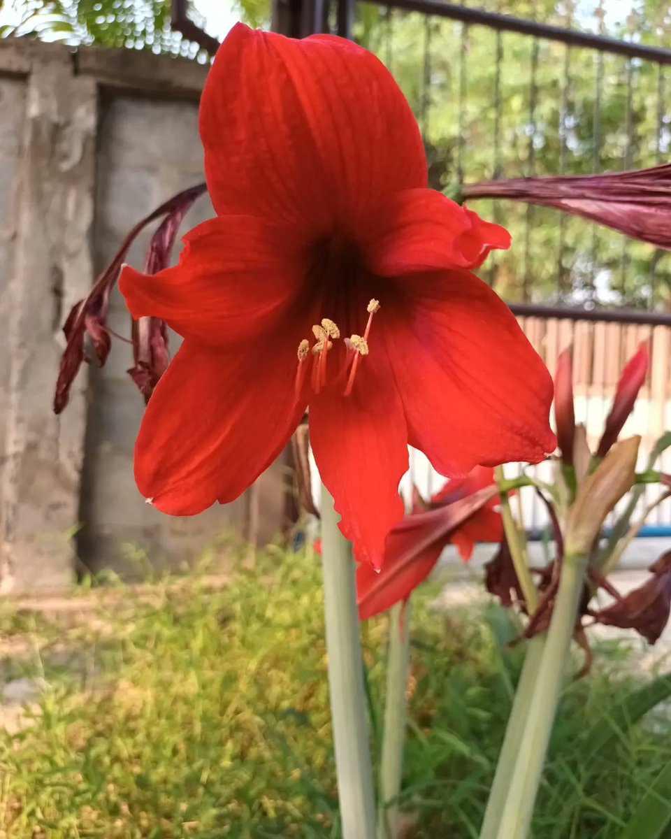 KitsareeK's tweet photo. Happy day my friend ❤️ 🌺 https://t.co/O7GwUaP1SO