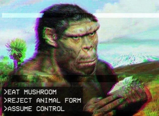 keen_code's tweet image. All of X these days