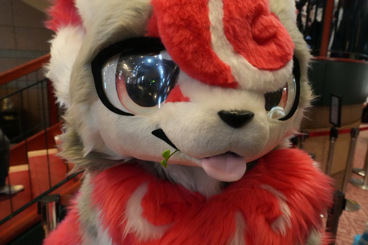 まきまきくん！！
#Kemocon18