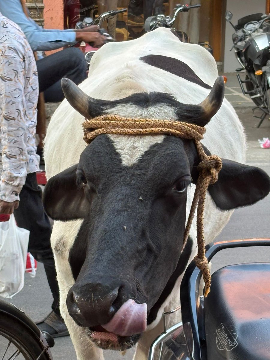 Helen Bonser-Wilton tweet media